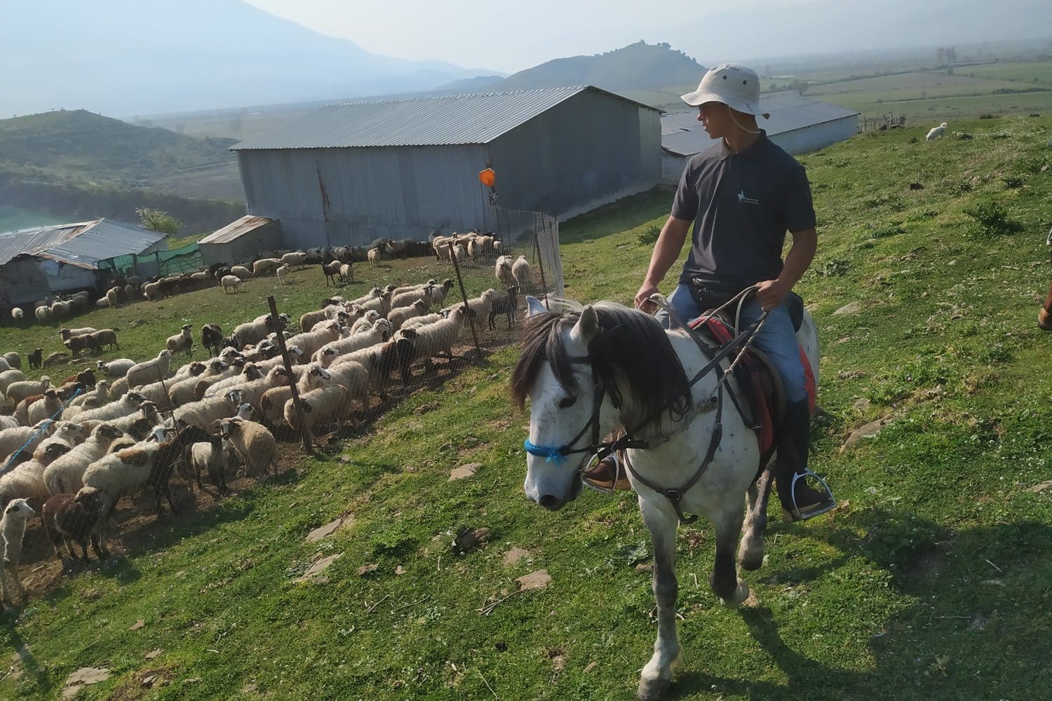 Ture me Kuaj Gjirokaster - Udhetime me Kuaj Gjirokaster - Guida Turistike me Kuaj - Guida me Kuaj ne Shqiperi - Caravan Horse Riding Albania